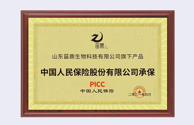 PICC承保